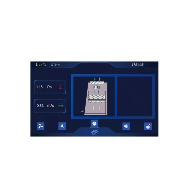 Ламинарная станция для чистки клеток DDW-1100 