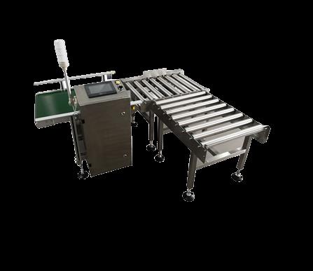 Автоматические весоизмерительные устройства (чеквейеры) WorkerInspector серии Explorer (IP54) 