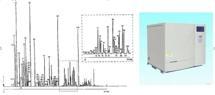 Хроматограф газовый для индивидуального и группового углеводородного состава HK-GC-9600 